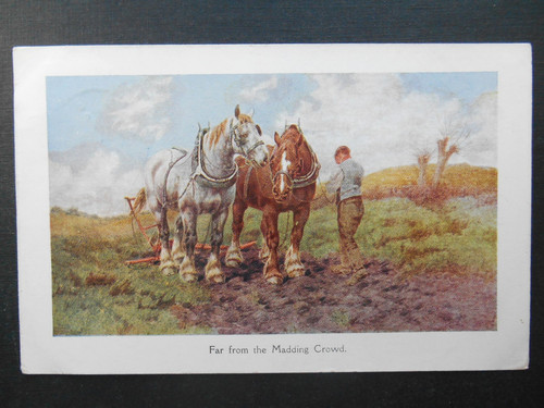 Farming heavy horses - heavy,