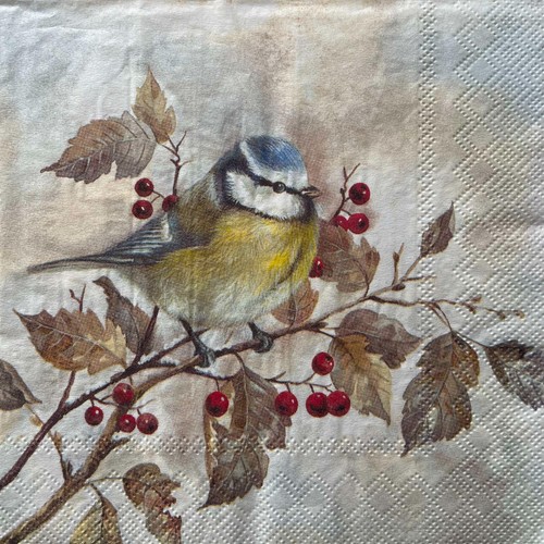 Luncheon paper napkins - 2,