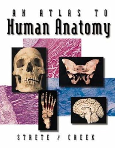 Atlas human anatomy - human,