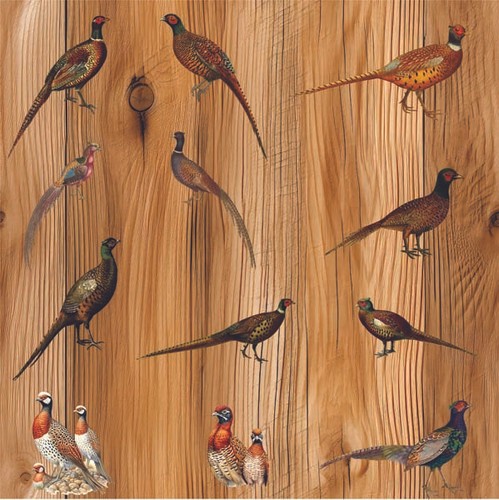 12x mixed ring necked - necked, pheasant
