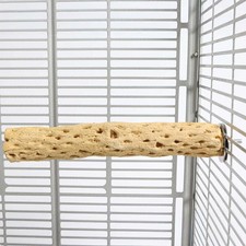 Manu Mineral Parrot Cockatoo