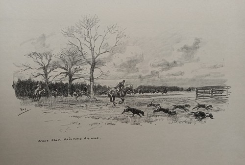 Zetland hunt stewart - hunt, f