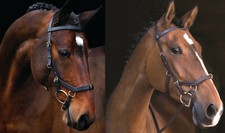 HORSEWARE RAMBO MICKLEM MULTI BRIDLE HORSE MULTIBRIDLE BITLESS/BIT/CAVESSON