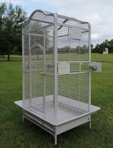 Large parrot open - large,