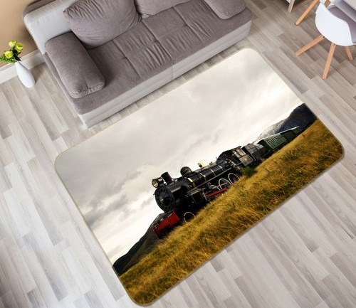 Black train field zhub064 - train,