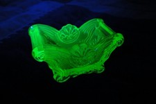 Scalloped Shell Individual