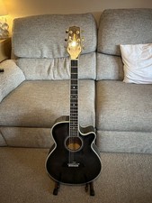 Takamine pro Series EF391MB
