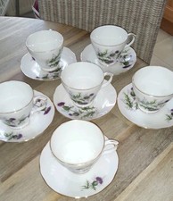 1no Duchess China Highland