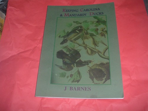 Keeping carolina mandarin - keeping,