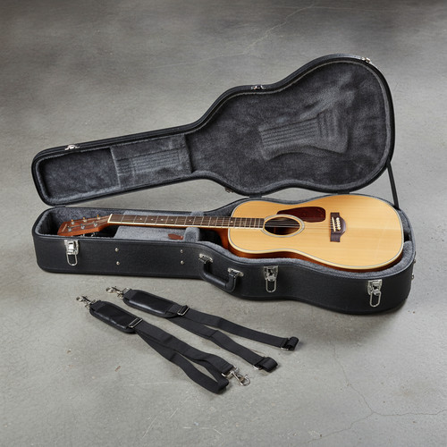 Acoustic guitar hard - guitar, case