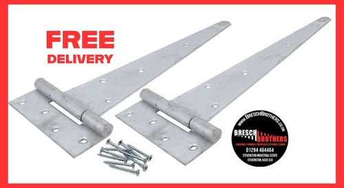 Pair scotch tee hinges - pair,
