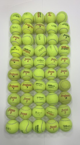 Qty tennis dead balls dogs - 50,