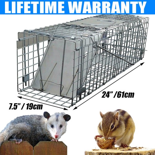 Squirrel trap humane kill - trap,
