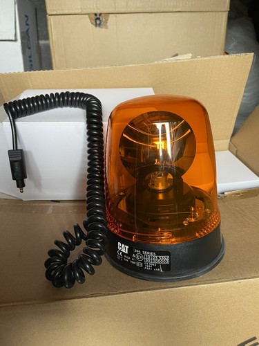 Cat magnetic flashing - cat,