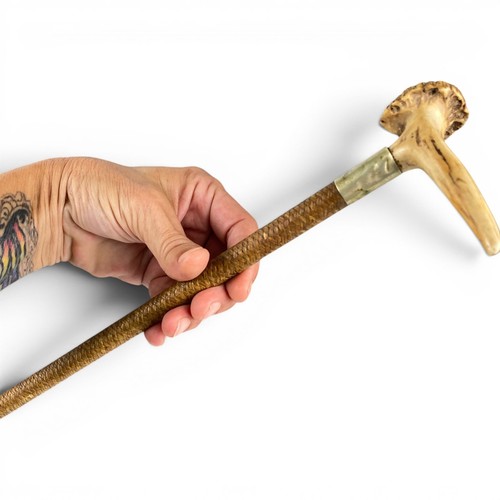 Antique stag horn - antique,