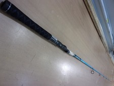 SHAKESPEARE UGLY STIK CARBON