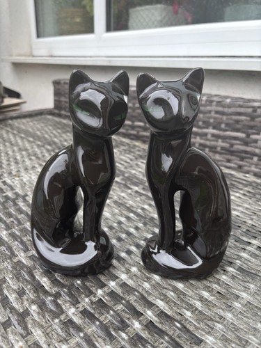 Pair mcm siamese - black, cats