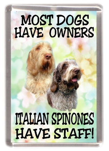 Italian spinone fridge magnet - italian,