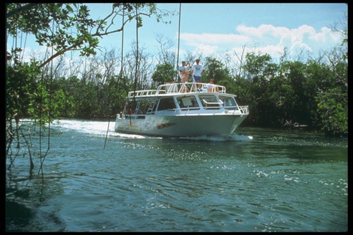 264017 marina aqua ray snorkel - marina,
