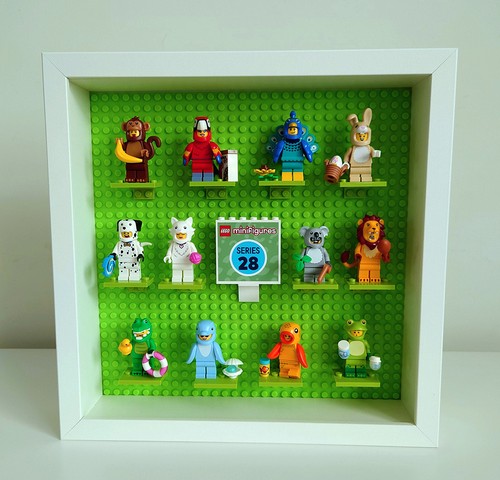 Display case storage - case, frames