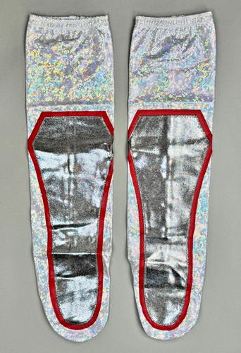 Pro wrestling shin - pro,