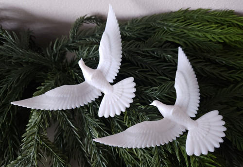 Friendship turtle dove - turtle,