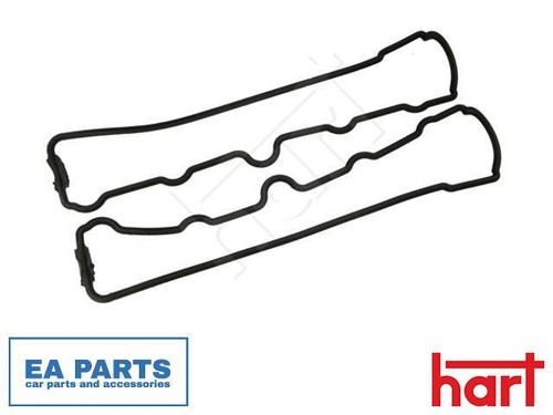 Gasket set cylinder - gasket, head