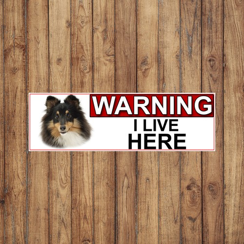 Shetland sheep dog warning - dog,