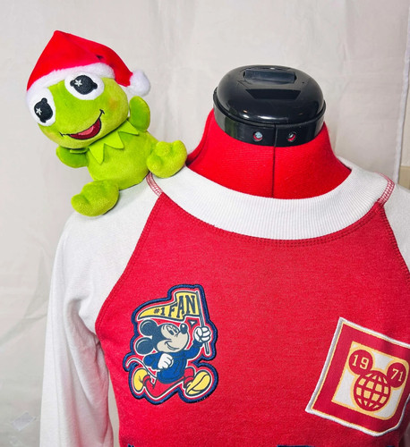 Disney kermit the frog - disney,