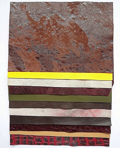 Leather hide pieces - pieces, x