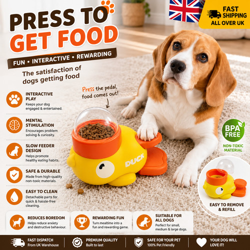 Pet automatic feeding - pet,