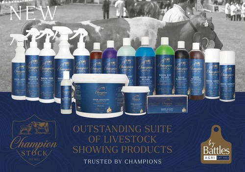 Champion stock livestock - champion,