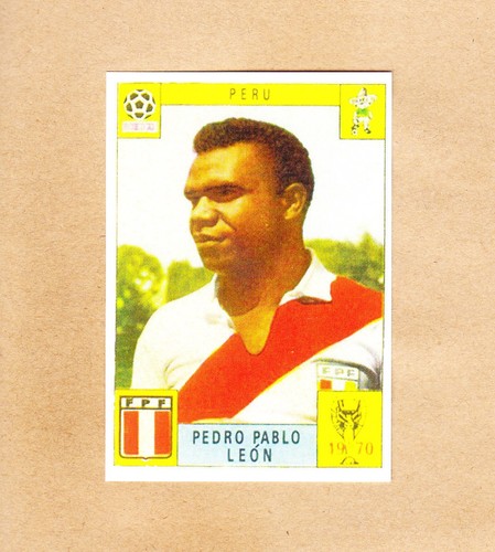 Panini fifa world - -,