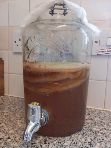 Organic 40g kombucha scoby - 40g,