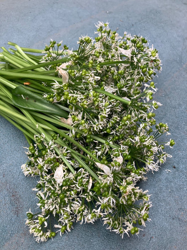Fresh wild garlic - fresh, ramsons