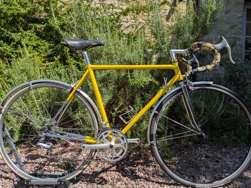 Raleigh carlton pro - raleigh, reynolds
