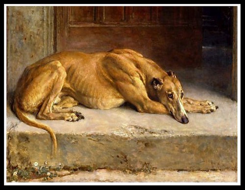Greyhound sleeping dog - greyhound, art