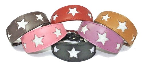 Greyhound whippet leather - whippet,