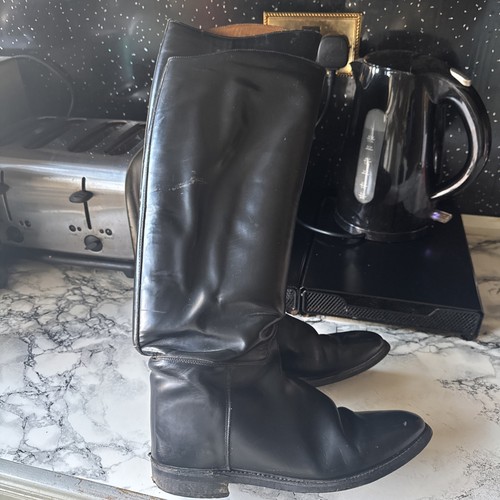 Equestrian leather riding show - equestrian,