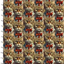 Purrfectly Playful Gentlemen