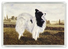 PAPILLON DOG ART PRINT ACRYLIC