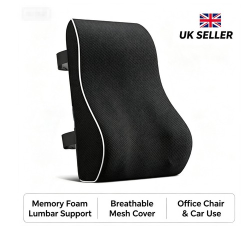 Lumbar back support - back, cushion