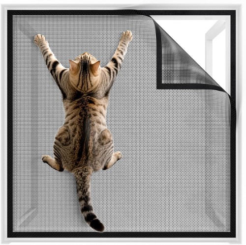 Durable scratch resistant cat - durable,