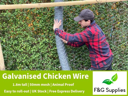 Chicken garden wire - garden, mesh