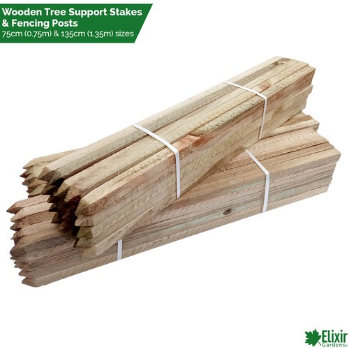 Square sawn wooden tree - wooden,