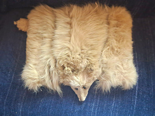 Vintage jonedom fox - fur, stole