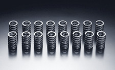 HKS Valve Springs For: Nissan