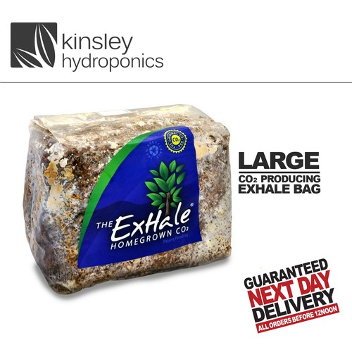 Exhale co2 bag environment - exhale,