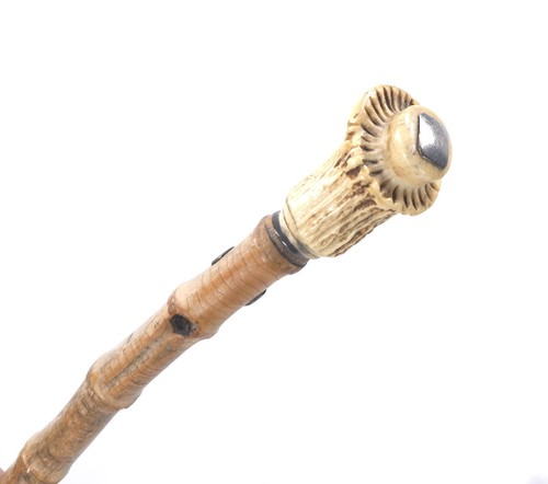 Antique stag antler walking - antique,