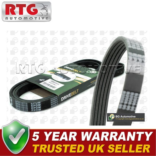 Rtg drive belt - drive, 75